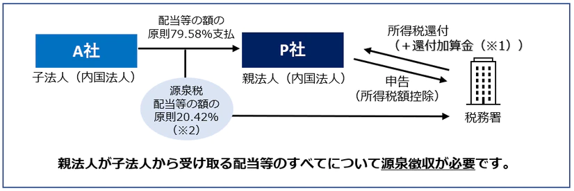 子法人から親法人への支払にあたり、その税率と税務署とのやりとりについて記載しています。親法人は税務署へ申告（初頭税額控除）をし、税務署は所得税還付（＋還付加算金（※1））をします。子法人から親法人へ支払をする際、税務署へ支払の20.42%を源泉税配当等の額の原則で渡します（※2）。
